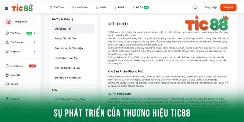 Sự phát triển thành công của Tic88  trên thị trường cá cược